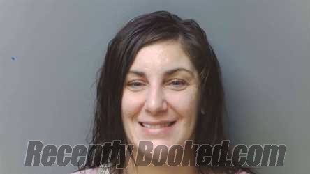 Recent Mugshot Image for DENISE JOHNSON-WEILBAECHER in Simpson County, Kentucky