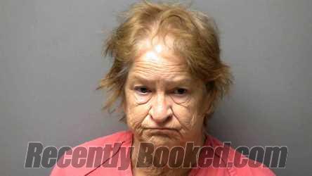 Recent Mugshot Image for BRENDA LANE in Simpson County, Kentucky