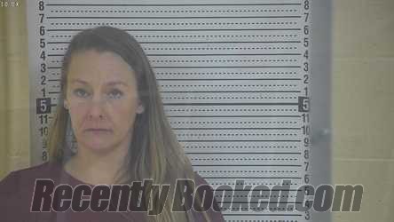 Recent Mugshot Image for ADRIANNE FAULKNER in Taylor County, Kentucky