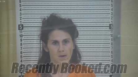 Recent Mugshot Image for AMANDA BROOKE SHIVELY in Taylor County, Kentucky