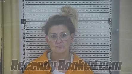 Recent Mugshot Image for ASHLEY LYNN SHEWMAKER in Taylor County, Kentucky