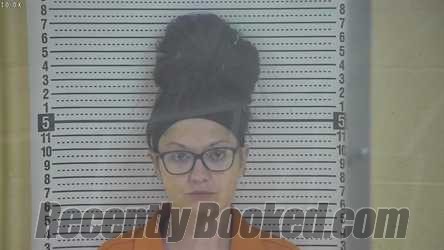 Recent Mugshot Image for AMY SUE WATSON in Taylor County, Kentucky