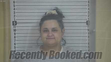 Recent Mugshot Image for TIERSA LASHAE REVELS in Taylor County, Kentucky