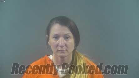 Recent Mugshot Image for AMANDA DAWN PARSONS in Warren County, Kentucky
