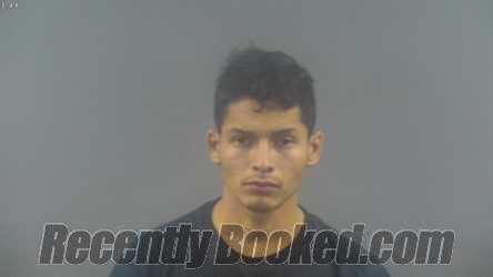 Recent Mugshot Image for ELVIN JOSUE CRUZ in Warren County, Kentucky