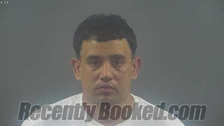 Recent Mugshot Image for JANS CARLOS PAGES RAMIREZ in Warren County, Kentucky