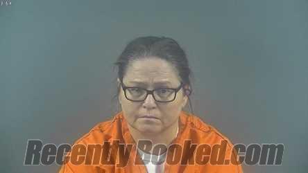Recent Mugshot Image for TERESA LYNN SEAL in Warren County, Kentucky