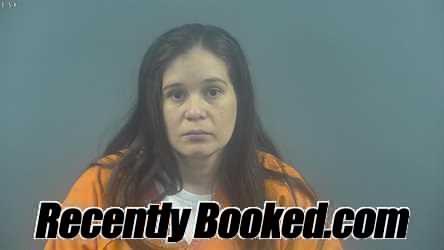 Recent Mugshot Image for YALIN ZALDIVER-DIAZ in Warren County, Kentucky