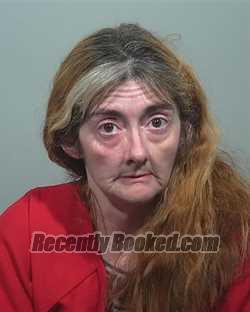 Recent Mugshot Image for Janice Marie Bubier in Cumberland County, Maine