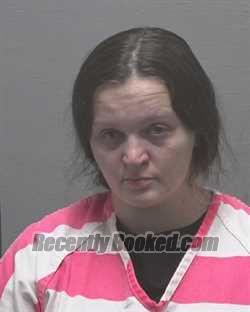 Recent Mugshot Image for OLIVIA BAGLEY in New Hanover County, North Carolina