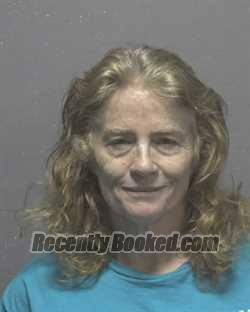 Recent Mugshot Image for DESIREE LYNN ANDERSON in New Hanover County, North Carolina