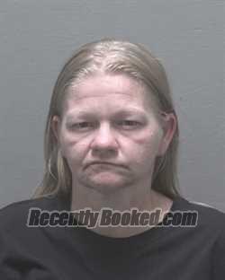 Recent Mugshot Image for BRITTANY LYNNE CHANEY in New Hanover County, North Carolina