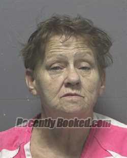 Recent Mugshot Image for ROBIN MEADOWS COLLINS in New Hanover County, North Carolina