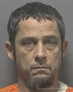Recent Mugshot Image for DAVID LEWIS HAMM in New Hanover County, North Carolina