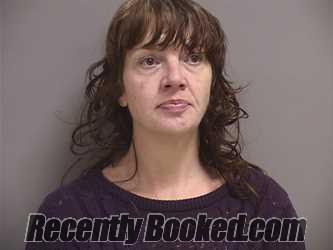 Recent Mugshot Image for MICHELLE ALICIA COGSWELL in Somerset County, Maine