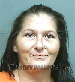 Recent Mugshot Image for SHERI MICHELLE DOWNING in Franklin County, Florida