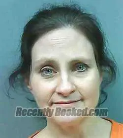 Recent Mugshot Image for SUSAN LEIGH DASHER in Franklin County, Florida