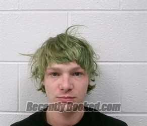 Recent Mugshot Image for AARON TREVOR DESTEFANO in Allegany County, Maryland