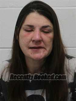 Recent Mugshot Image for DANA MARIE DAVIS in Wicomico County, Maryland