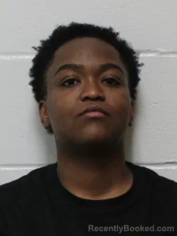 Recent Mugshot Image for ADRIANA DE PENA FIGARO in Wicomico County, Maryland