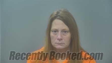 Recent Mugshot Image for LESLI DALE POULTNEY in Alpena County, Michigan