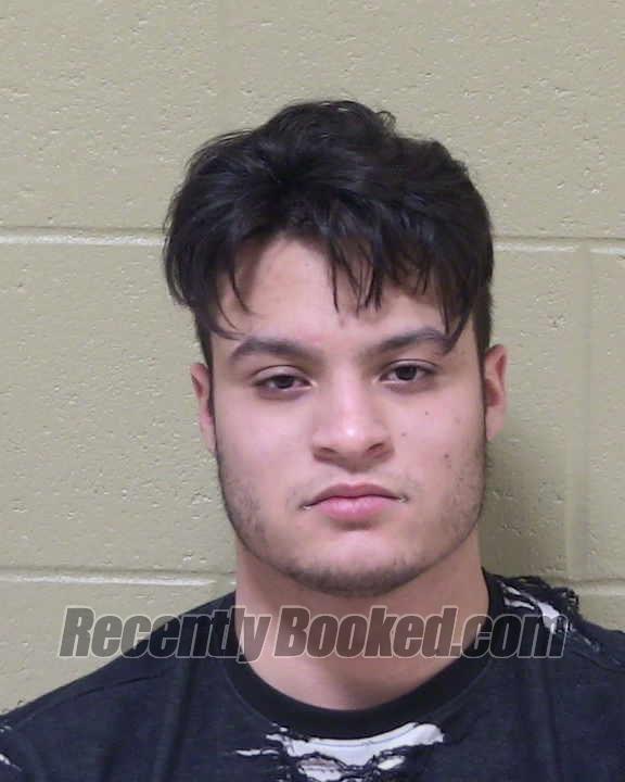 Recent Mugshot Image for NICOLAS CAMERON RAMOS in Delta County, Michigan