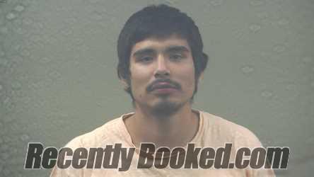 Recent Mugshot Image for WARREN GEORGE GUSTAFSON in Dickinson County, Michigan