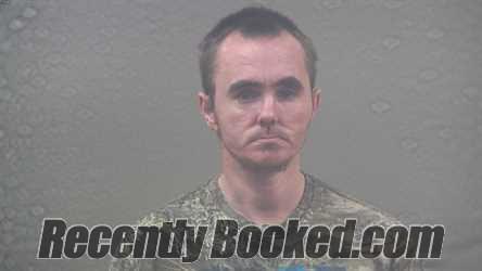 Recent Mugshot Image for RONALD DEAN MICHEAU in Dickinson County, Michigan