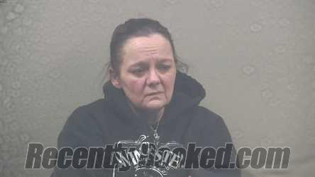 Recent Mugshot Image for KERRIE RAE FREEMAN in Dickinson County, Michigan