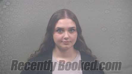 Recent Mugshot Image for REESE RENE RIVARD in Dickinson County, Michigan