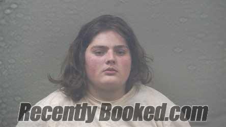 Recent Mugshot Image for HUNTER DOUGLAS PAUL OLIVER in Dickinson County, Michigan