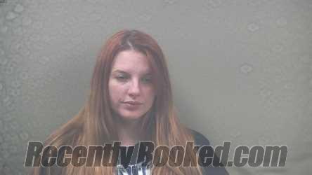 Recent Mugshot Image for HEATHER MAE DEJULIANNIE in Dickinson County, Michigan