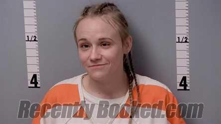 Recent Mugshot Image for MORGAN LEE SHIVELY in Gratiot County, Michigan