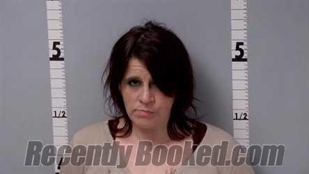 Recent Mugshot Image for NICOLE LYNN BROOKS in Gratiot County, Michigan