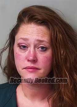 Recent Mugshot Image for Amanda Lee Geno in Hillsdale County, Michigan