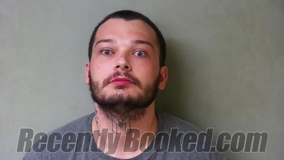 Recent Mugshot Image for Brent Jacob Risner in Hillsdale County, Michigan
