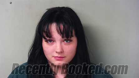 Recent Mugshot Image for Courtney Jean Marie Hatt in Hillsdale County, Michigan