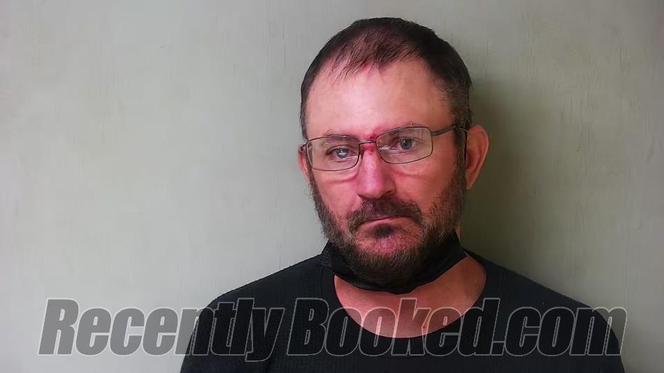 Recent Mugshot Image for Erin Todd Kimble in Hillsdale County, Michigan