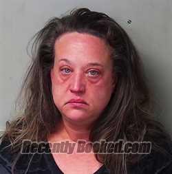 Recent Mugshot Image for Rebecca Jolin Clemons in Hillsdale County, Michigan