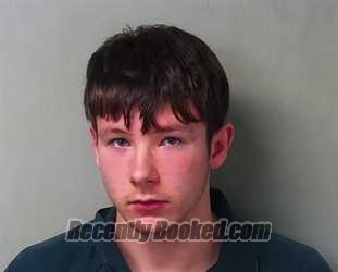 Recent Mugshot Image for Rex Ryan Johnston in Hillsdale County, Michigan