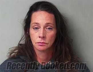 Recent Mugshot Image for Shannon Kathlyn Larue in Hillsdale County, Michigan