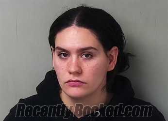 Recent Mugshot Image for Winter Mackenzee Bradley in Hillsdale County, Michigan