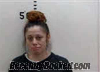 Recent Mugshot Image for CHRISTINA ALIVIA STRAUTNIEKS in Person County, North Carolina