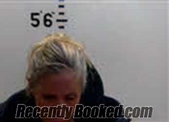 Recent Mugshot Image for JAMIE LARAE HOWERTON in Person County, North Carolina