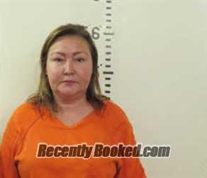 Recent Booking / Mugshot for RHONDA JEAN DUNN in Person County, North