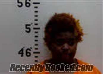 Recent Mugshot Image for KAHMYA AIESHA KING in Person County, North Carolina