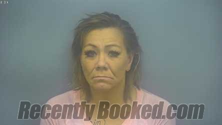 Recent Mugshot Image for ASHLEY ROCHELLE HARTUPEE in Isabella County, Michigan