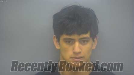 Recent Mugshot Image for SERGIO GUILLERMO GEYER in Isabella County, Michigan