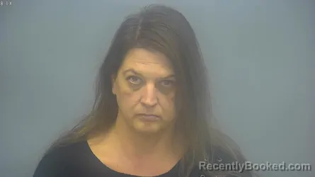 Recent Mugshot Image for SARA ELAINE HAWKINS in Isabella County, Michigan