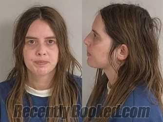 Recent Mugshot Image for Ashley Marie Sharp in Jackson County, Michigan